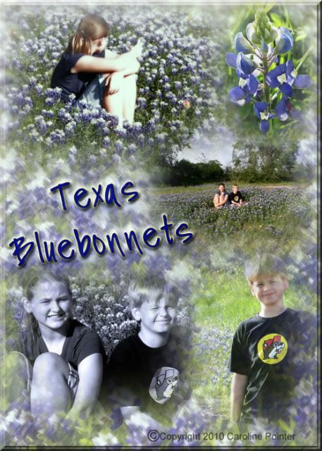 Texas-Bluebonnets-Design.jpg image by CMPointer